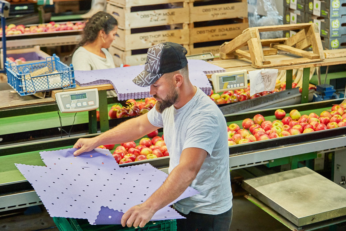 Obsthof-Moje_Galerie-Vermarktung-1