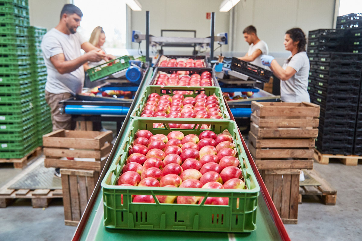 Obsthof-Moje_Galerie-Vermarktung-3