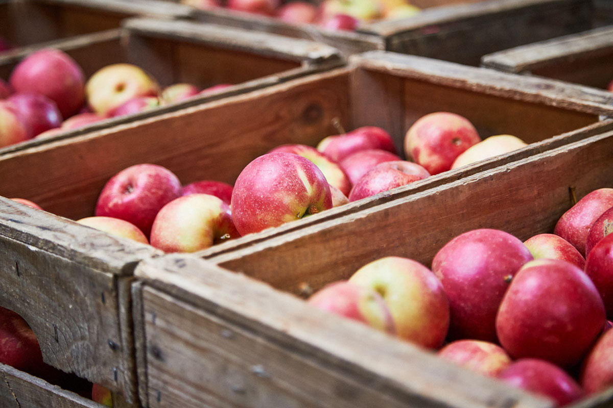 Obsthof-Moje_Galerie-Vermarktung-5