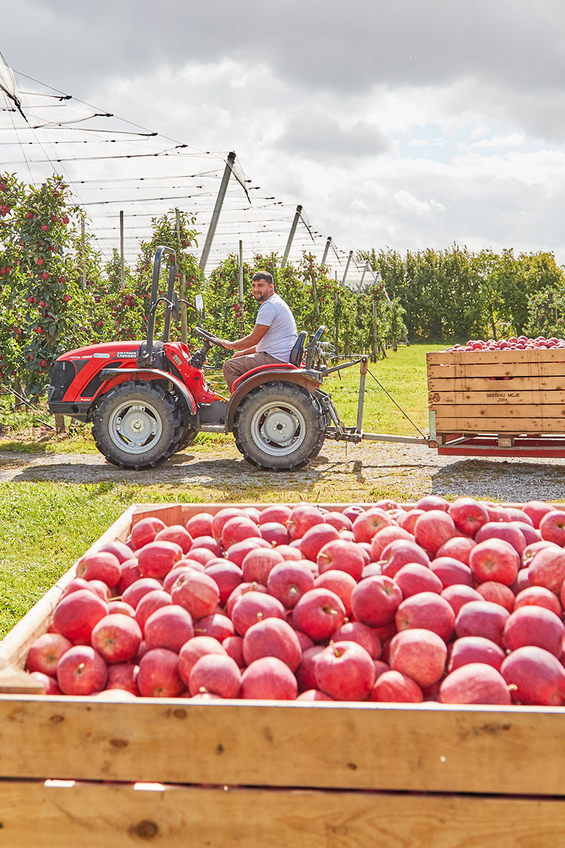 Obsthof-Moje_Vermarktung